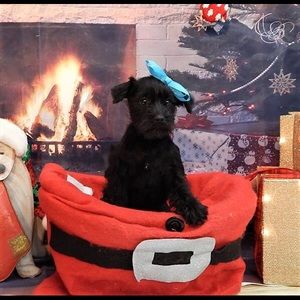 Meet your Posher, Timothy